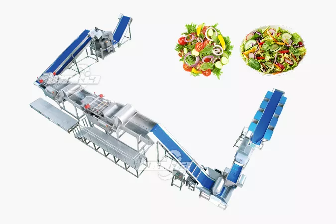Vegetable Cutting and Washing Processing Line 