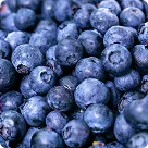 Blueberry