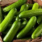 Cucumber