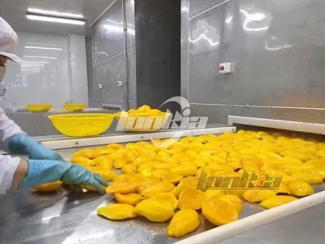 Mango Automatic Processing Machines: From Peeling to Cutting Solutions