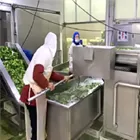 Processing