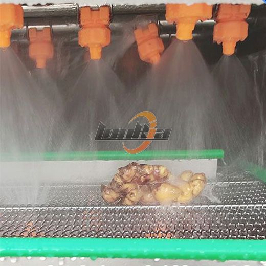 Ginger Spray Washer