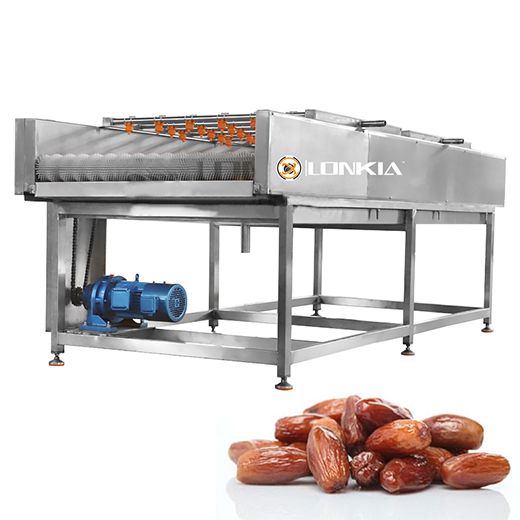 Date Washing & Grading Line