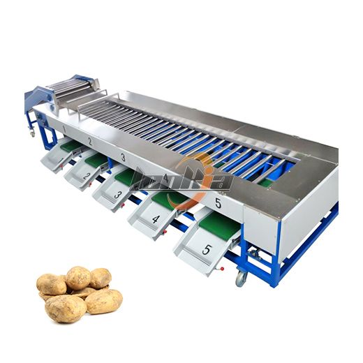 Onion Grading Machine