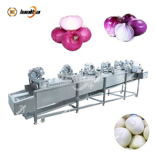 Peeled Onion Cutting Processing Line