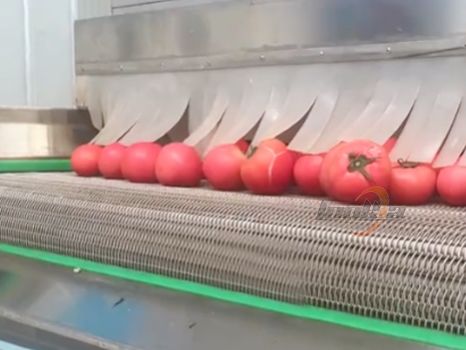 Frozen Tomato Processing Line