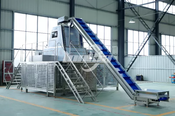 Customer Case Study: Honduran Client Chooses Lonkia Steam Peeler for Banana Processing