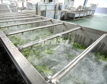 veg washing machine