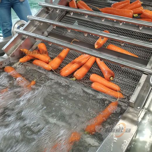 Fully Automatic Carrot Processing Line: From Washing to Packaging