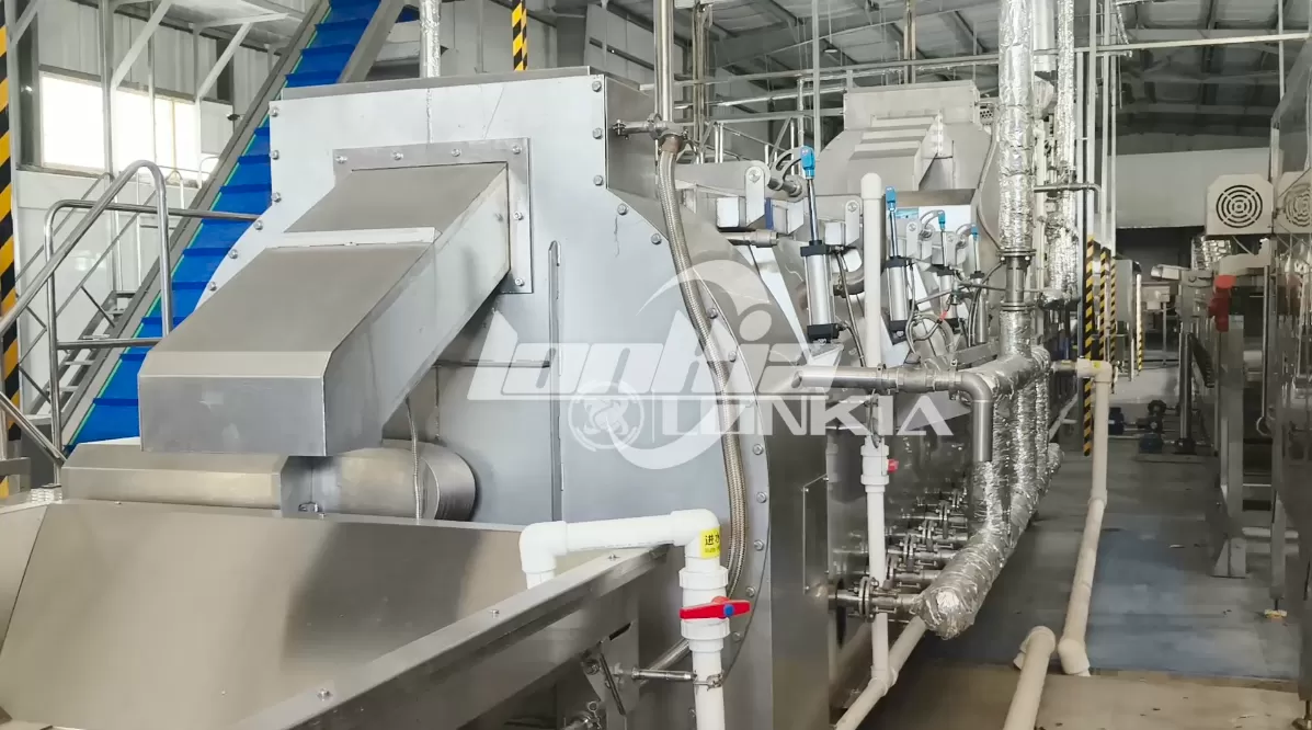 Successful Installation of a 1.5 Ton/Hour French Fries Production Line in Egypt