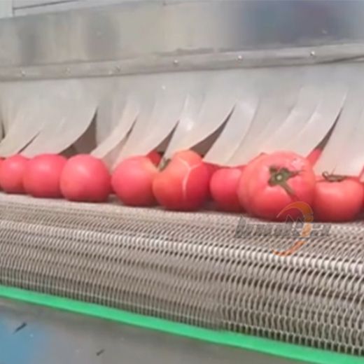 Frozen Tomato Processing Line