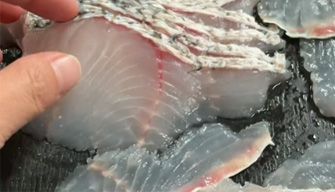 Fillet