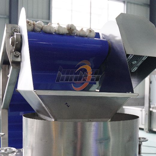 Garlic Clove Separator Machine