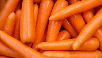 Carrot