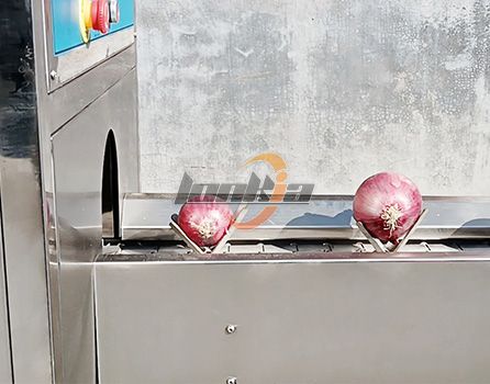 实拍图4