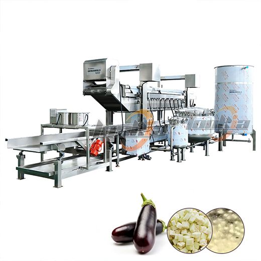 Continuous Frying Machine