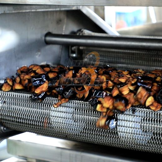 Continuous Frying Machine