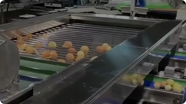 Fruit & Vegetable Grading Machines Video
