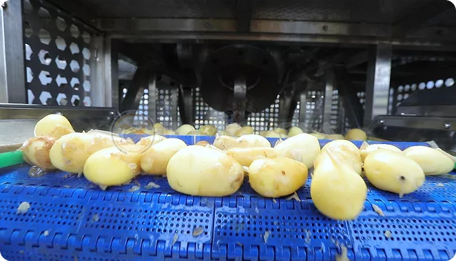 LONKIA Steam Peeler Machines Video