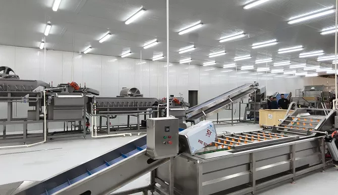 LONKIA Salad Processing Line Video