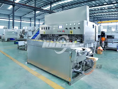 Mango Automatic Processing Machines: From Peeling to Cutting Solutions