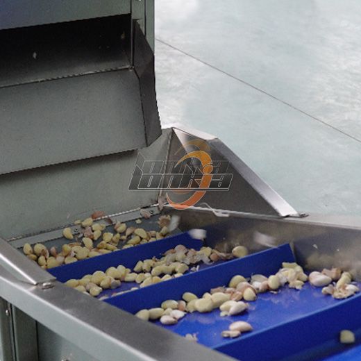 Garlic Clove Separator Machine