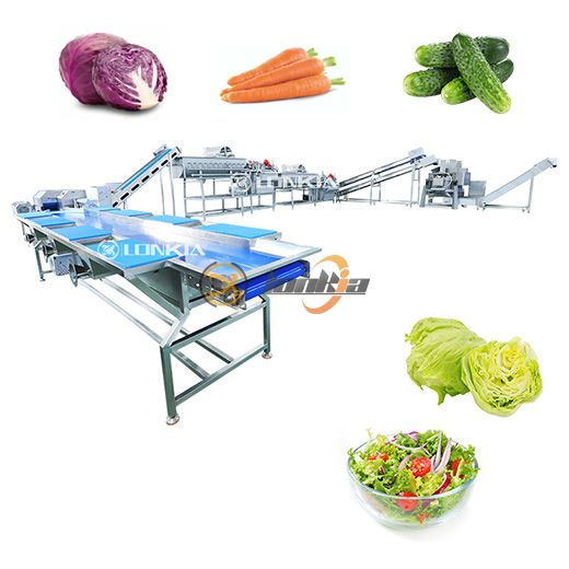 Fruit Vegetable Salad Washing-Cutting-Drying-Packaging Production Line