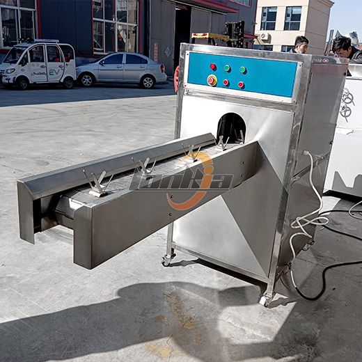 Onion Root Cutting Machine