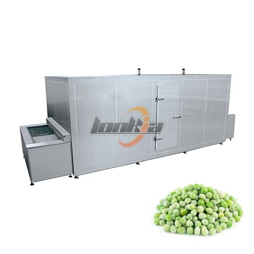 IQF Quick Freezer