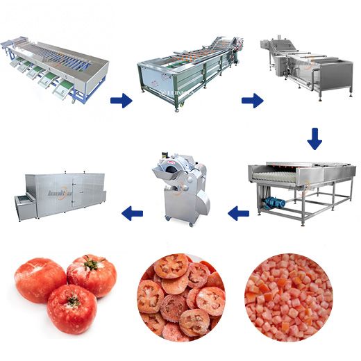 Frozen Tomato Processing Line
