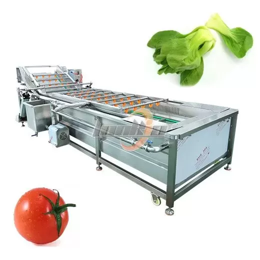 Fruit Washer Machine for Industrial Use: Types, Working Principle, and Applications