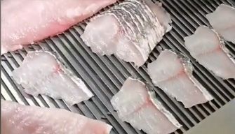 Fillet