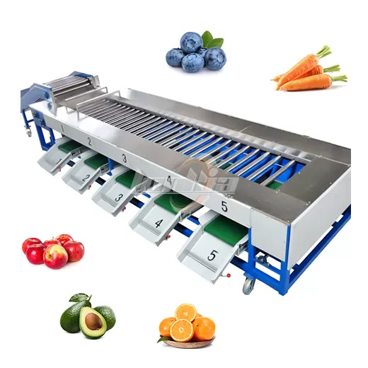 Top 5 Food Grading Machines Used in Modern Food Production Lines