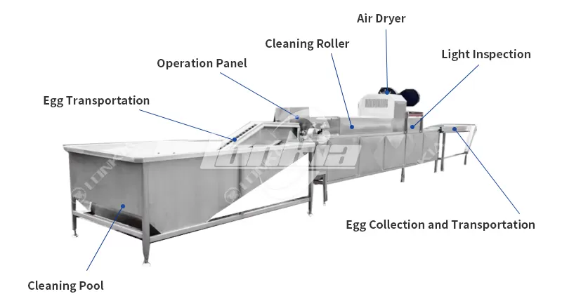 Automatic Egg Washing Line flow chart