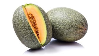 Cantaloupe