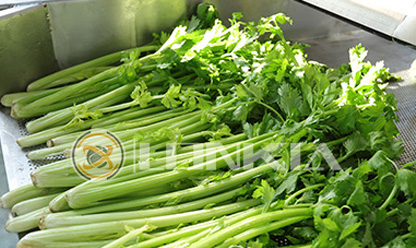 Parsley Washing Line Video