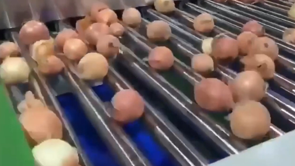 Onion Grading Machine Video