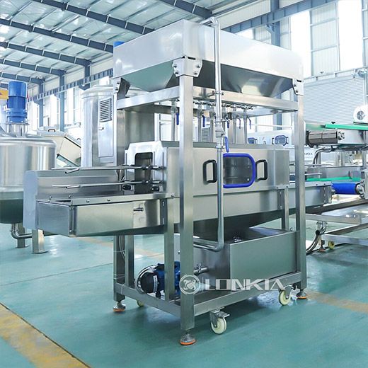Cucumber Canning Production Line