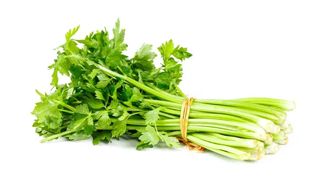 Celery