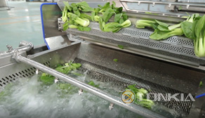 Net Vegetable Line