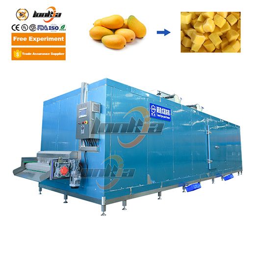 Frozen Mango Processing Line
