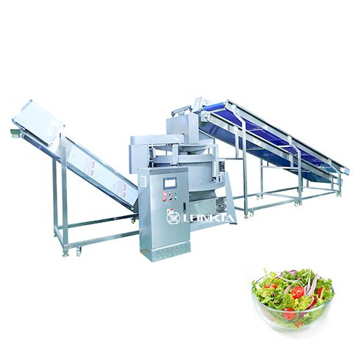Salad Washing & Drying Line