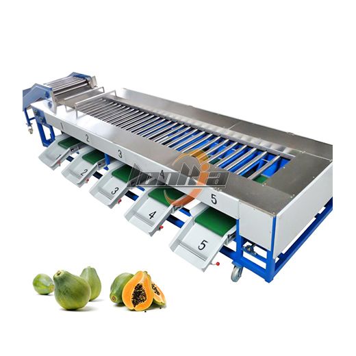 Onion Grading Machine